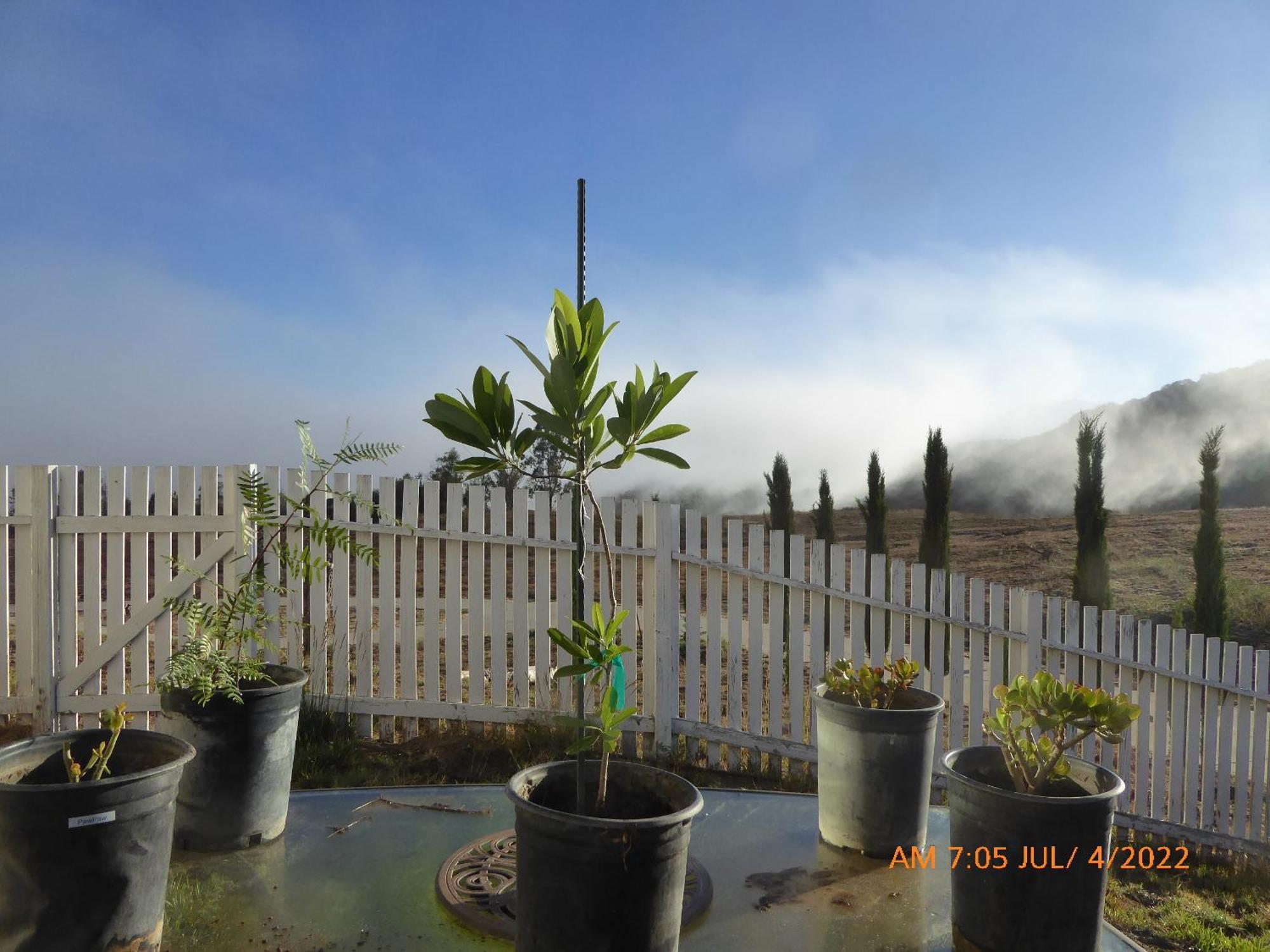 Mansion On The Hill Let 4 Rooms, 5Th Cost Extra Sage Exteriér fotografie